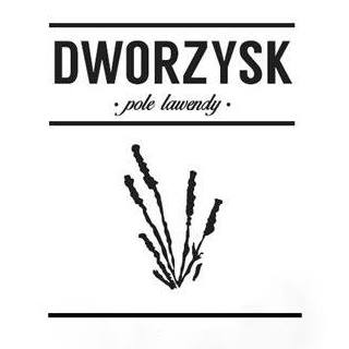 logo dworzysk
